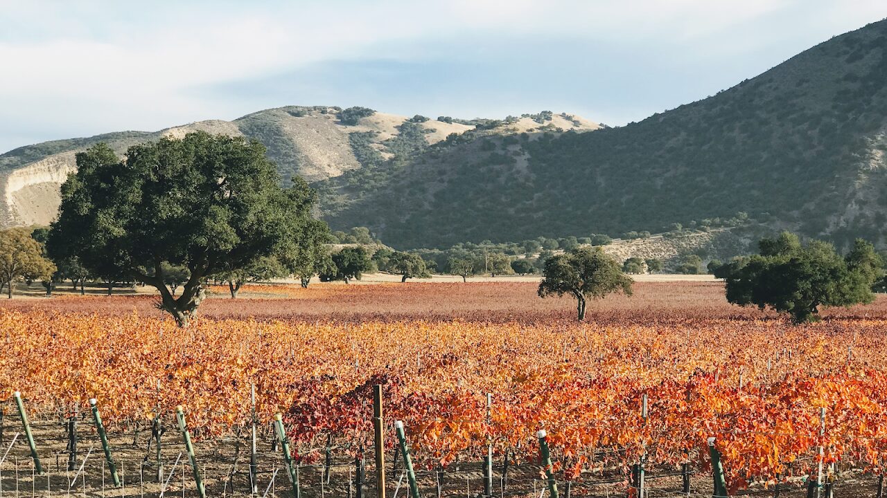 Pinnacles Real Estate Group, Monterey County AREA