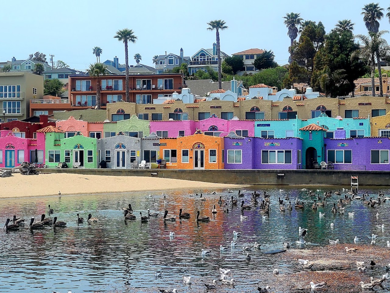 Capitola Art and Wine Festival: Celebrating Creativity on the Coast