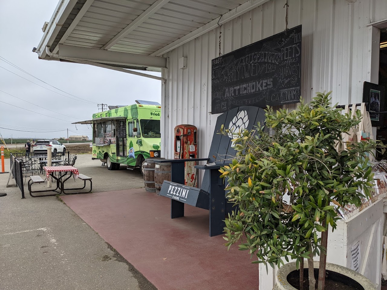 Salinas Valley Scenic Drive: Steinbeck Country, Garlic Fields, and Artichoke Farms