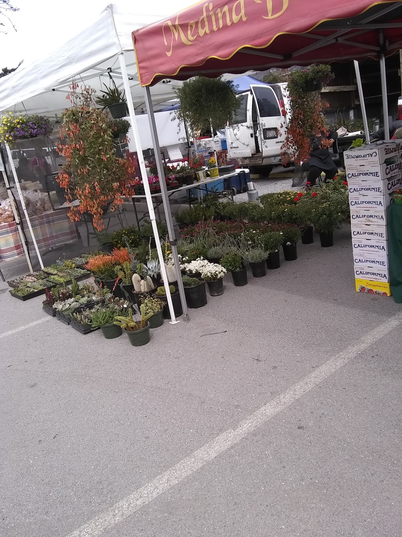 Carmel Valley Village Farmers Market