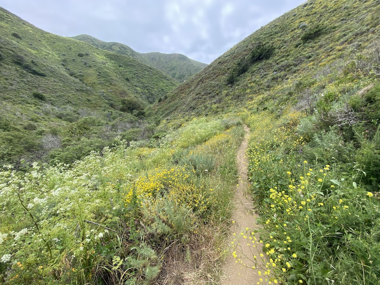 Soberanes Canyon Trail