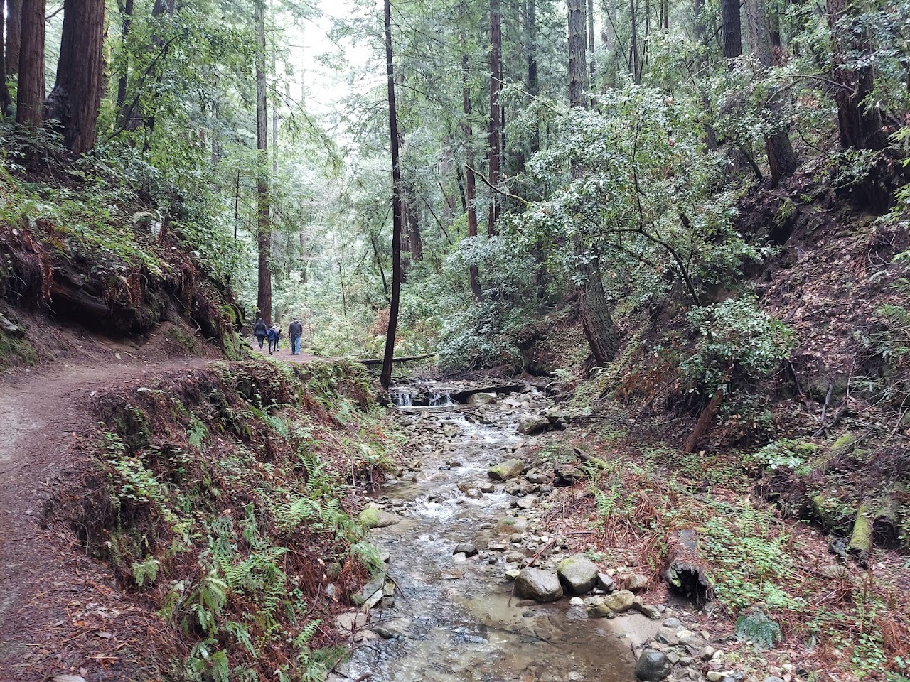10 Best Hikes in the Monterey Bay Area for All Skill Levels