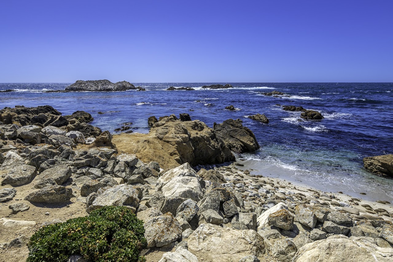 Bird Rock Vista Point