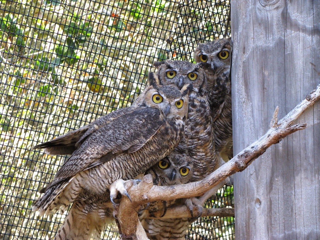 SPCA Wildlife Rescue and Rehabilitation Center