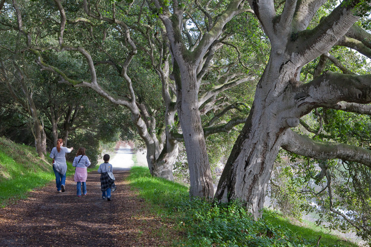 Elkhorn Slough Reserve