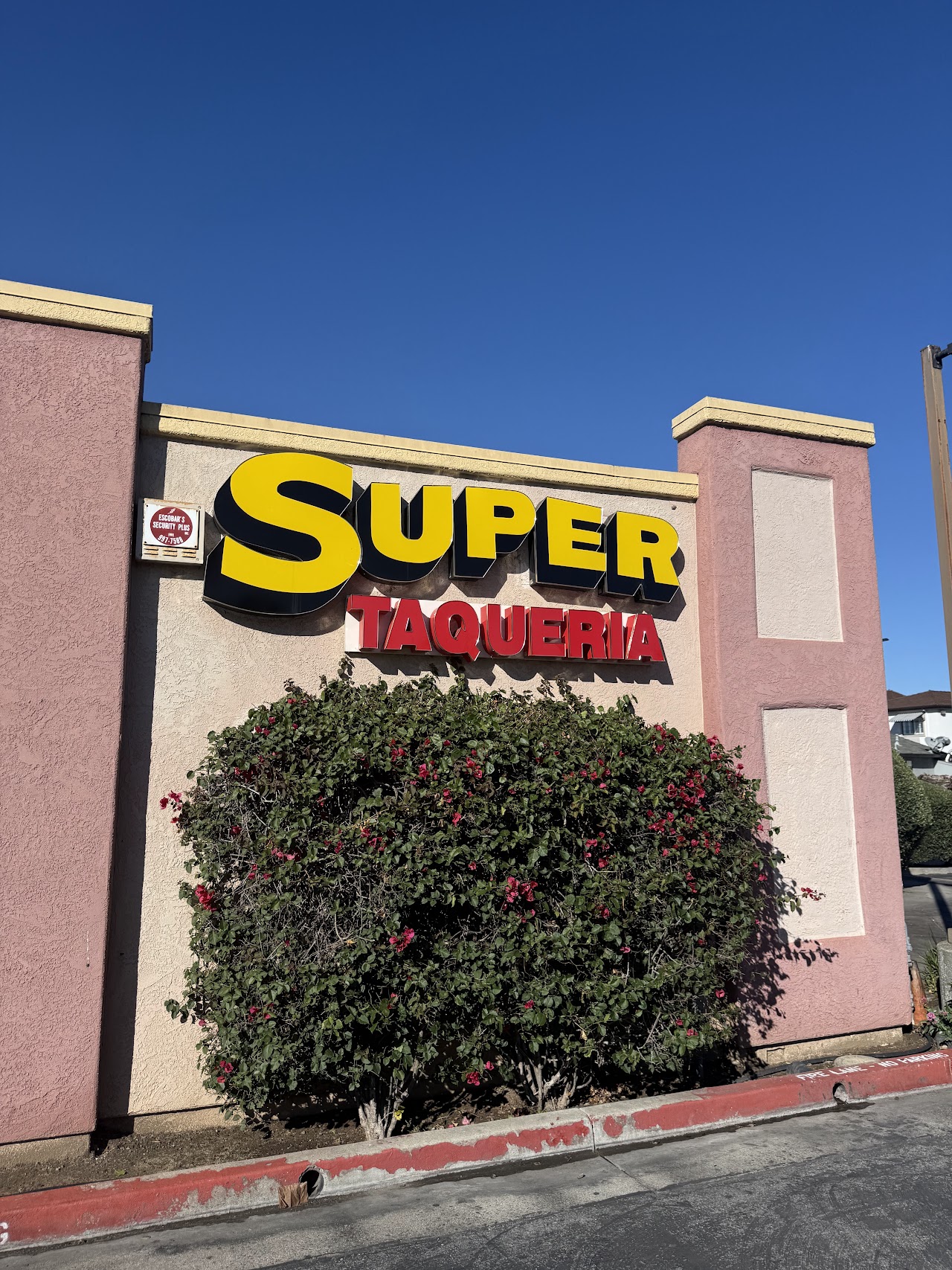 Super Taqueria