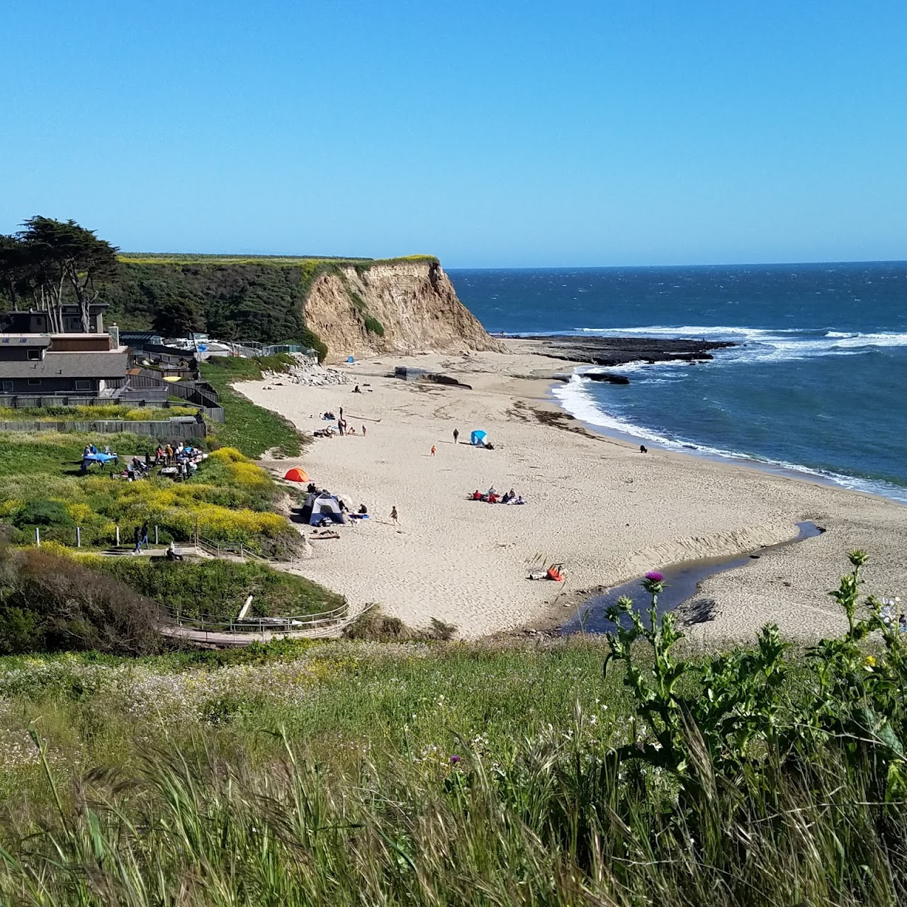 Davenport Landing Beach