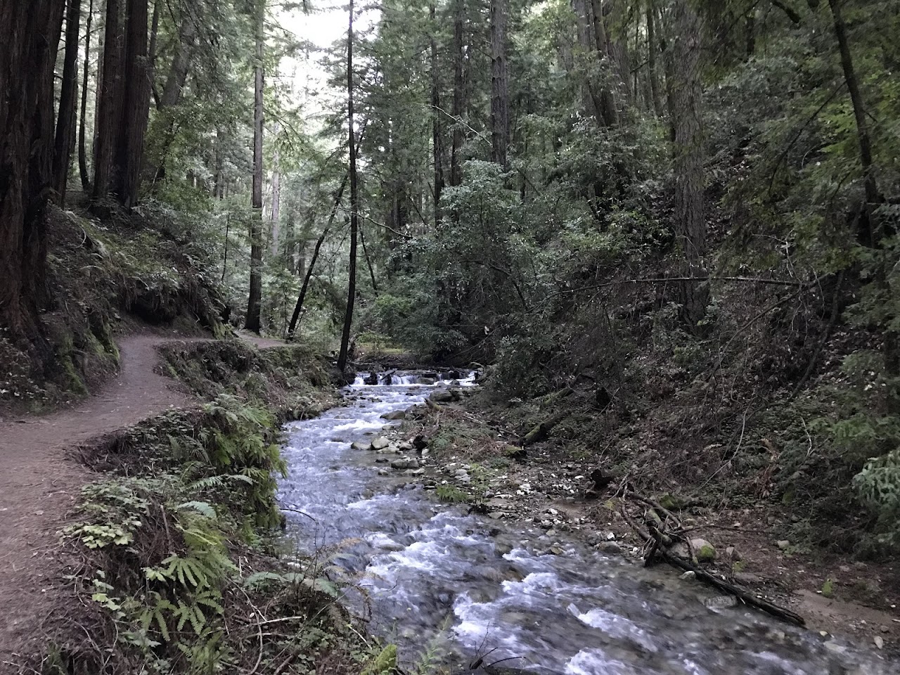 Fall Creek Unit
