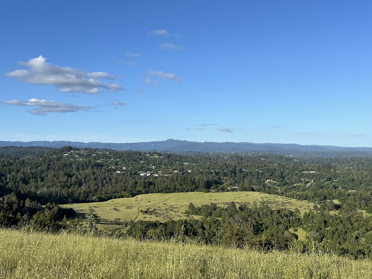 Pogonip Open Space