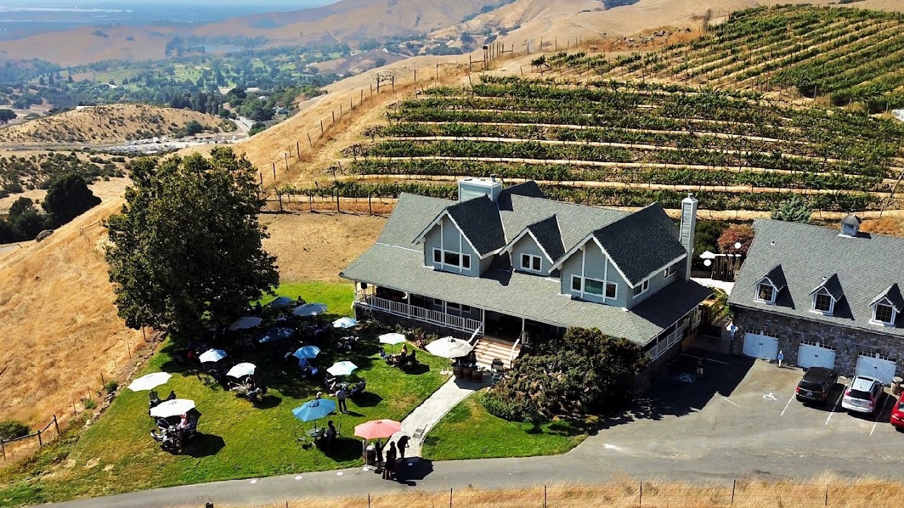 Big Dog Vineyards