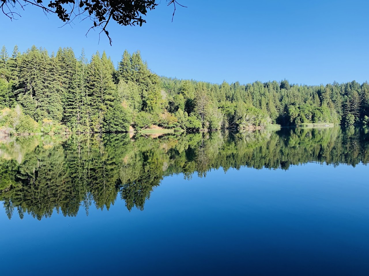 Loch Trail