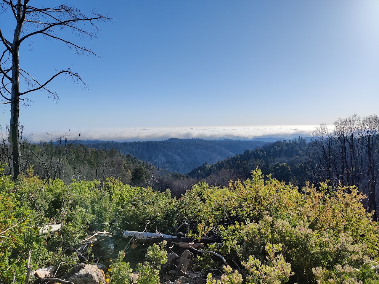 San Vicente Redwoods Trailhead