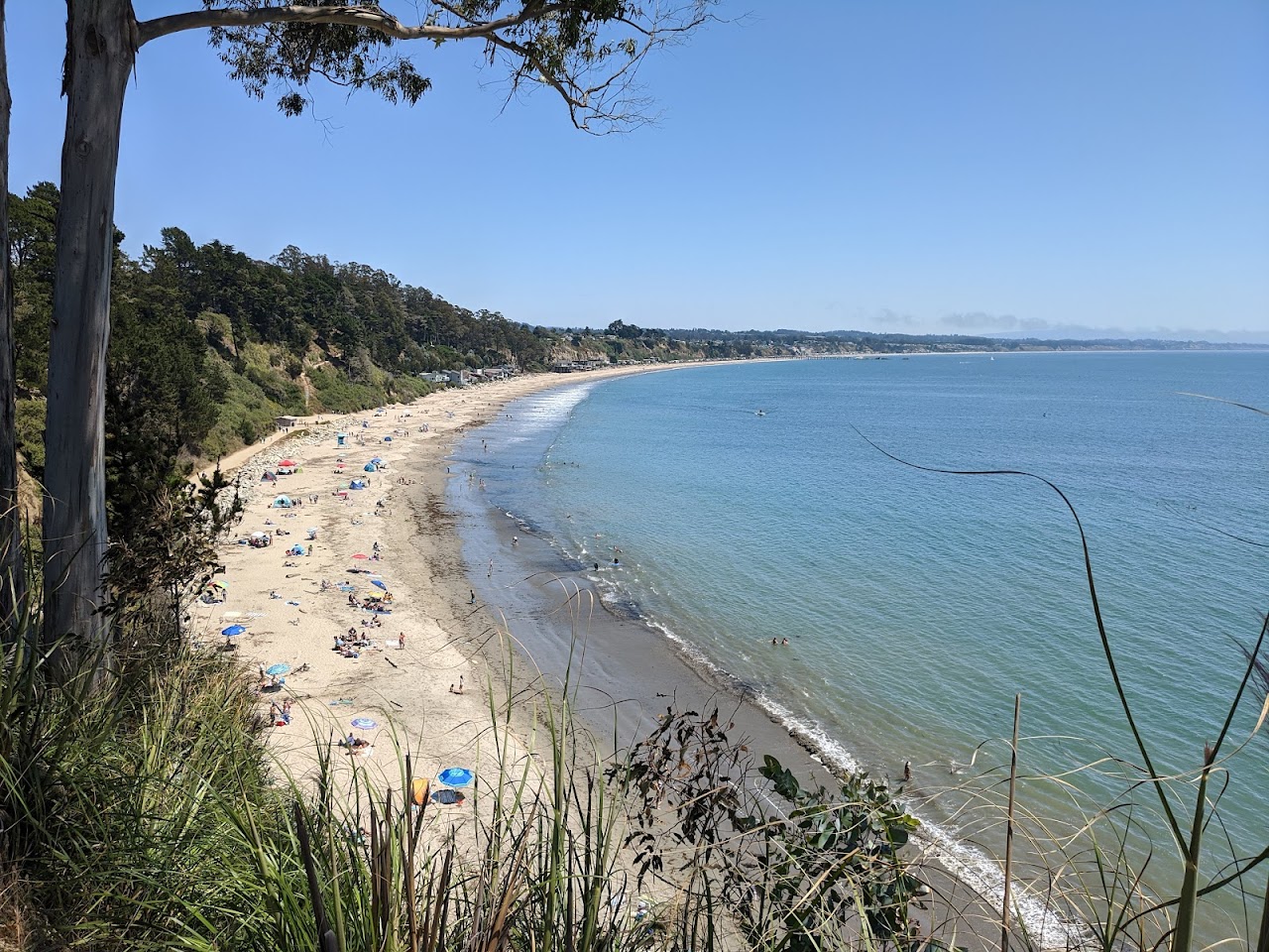 New Brighton State Beach