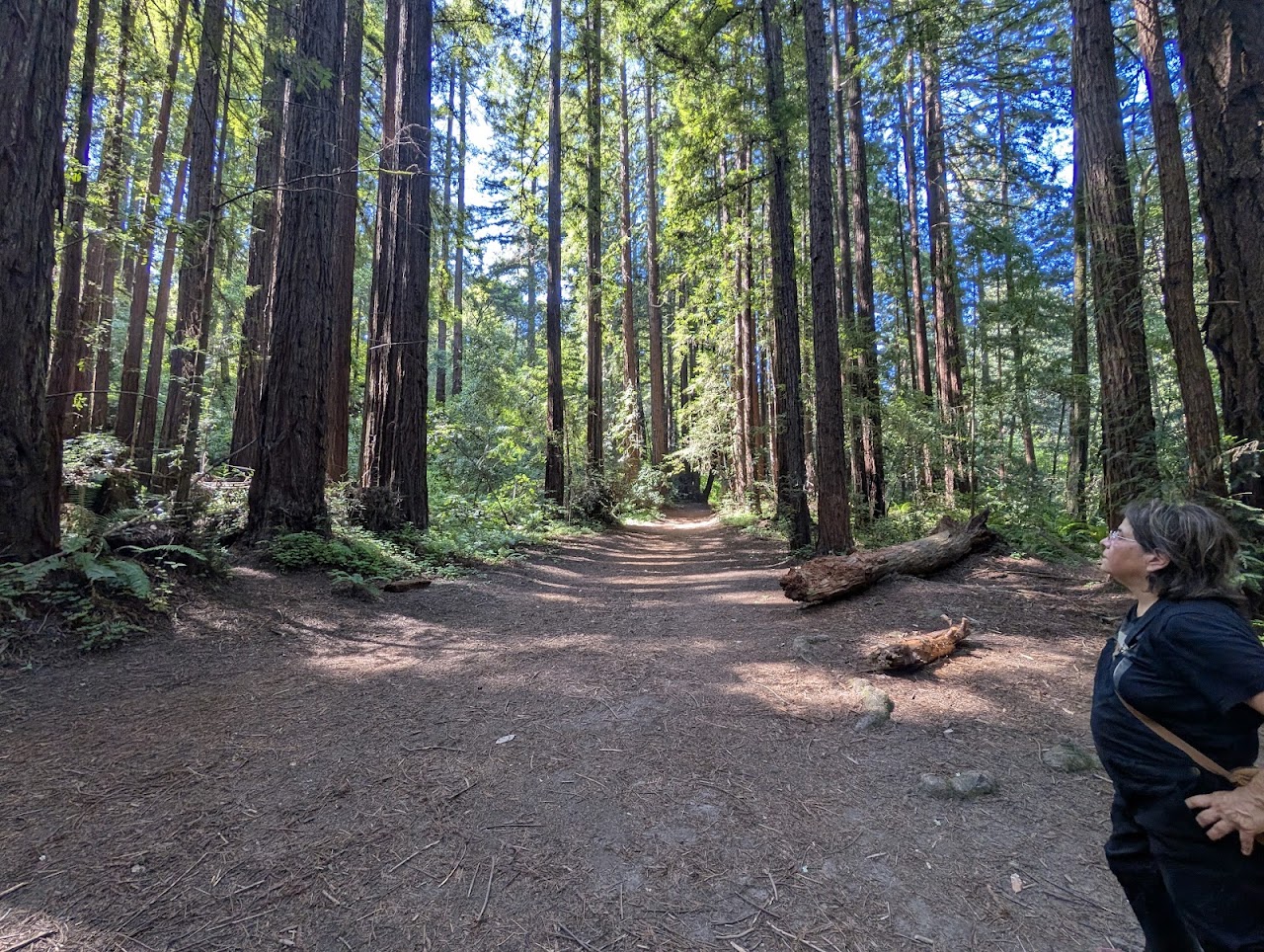 Vienna Woods Trailhead