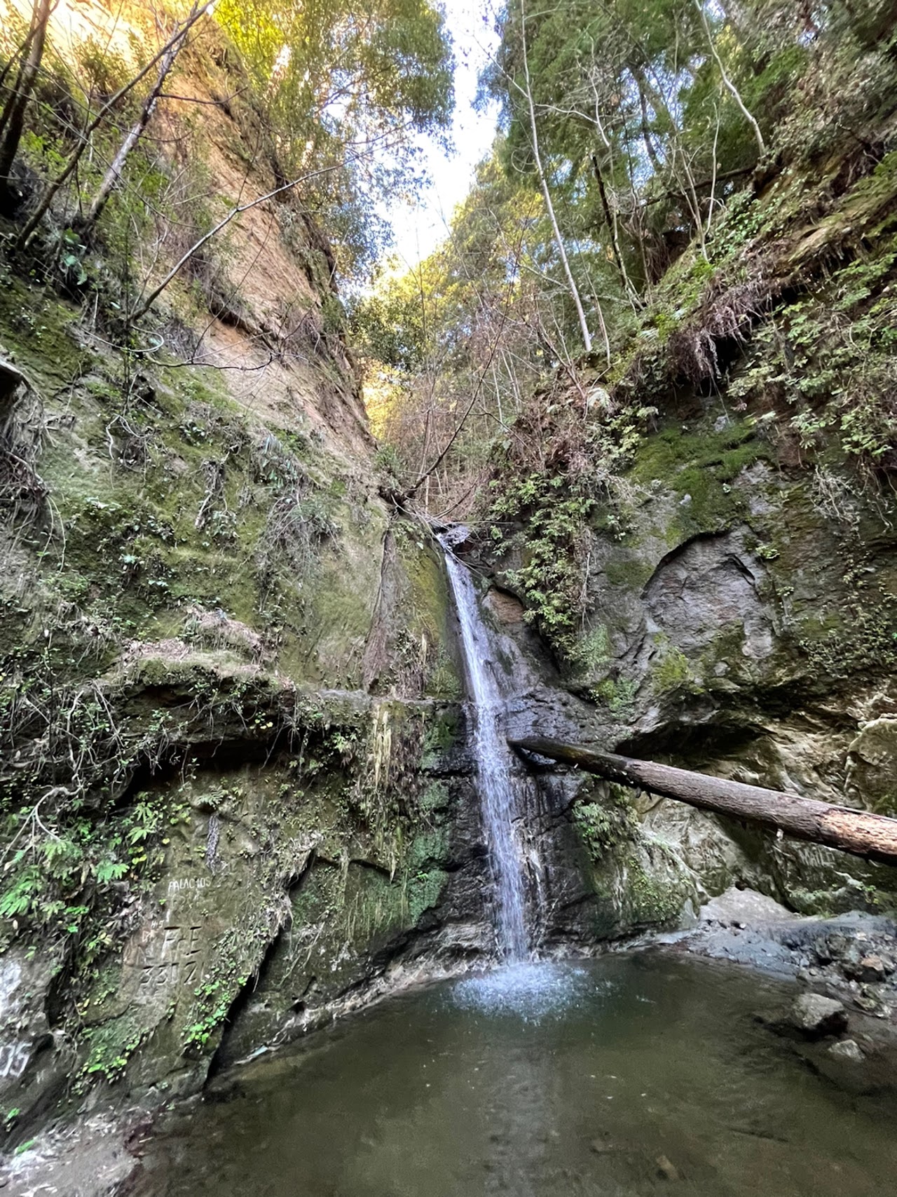 Maple Falls