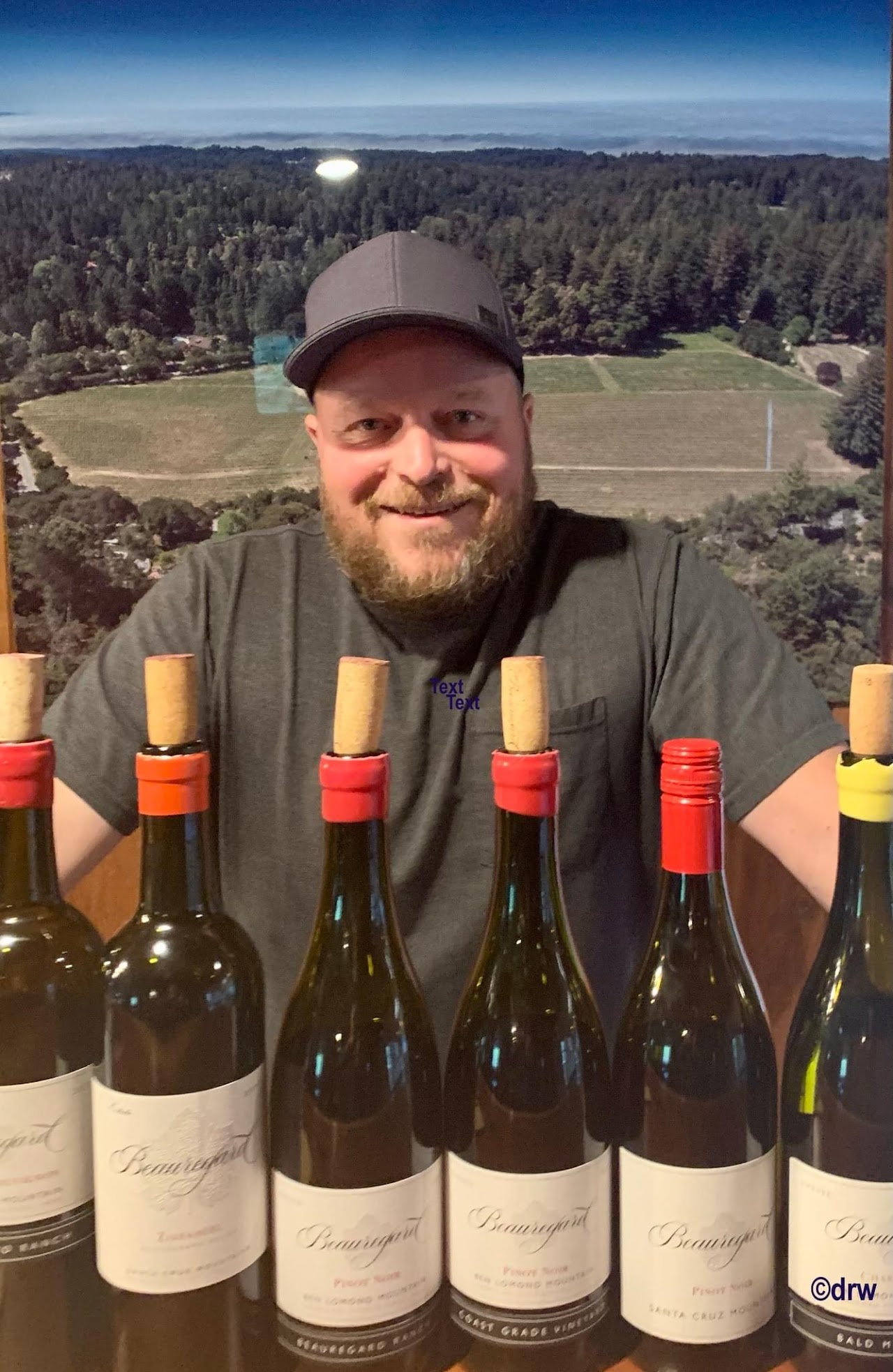Beauregard Vineyards