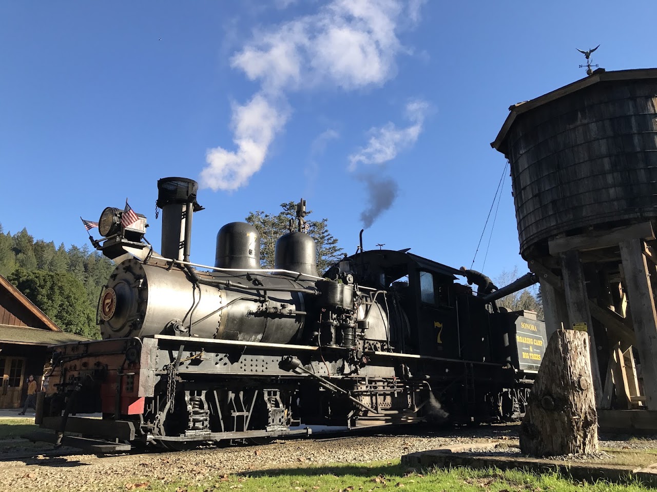 Roaring Camp, Big Trees and Pacific Railroad Station
