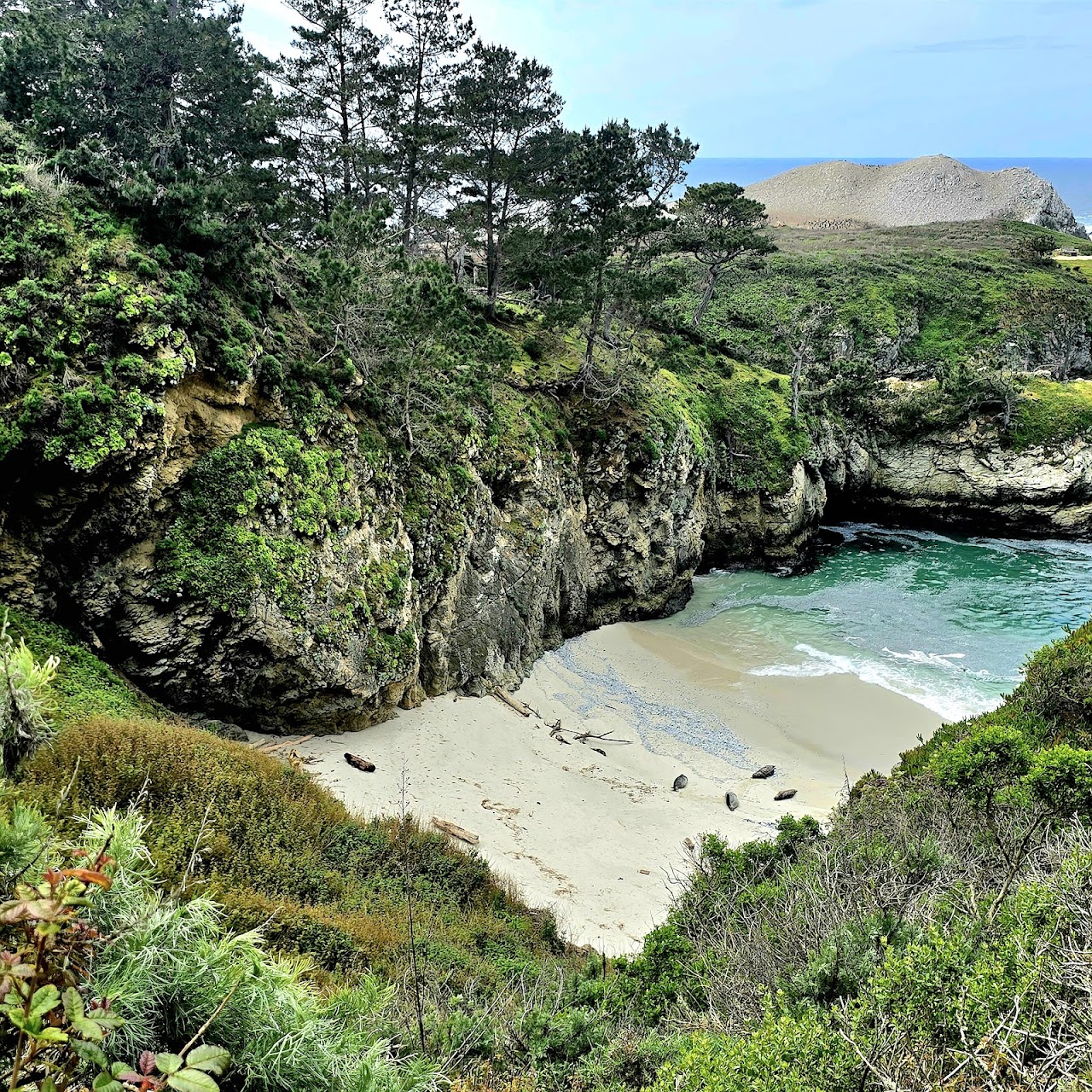 Carmel Highlands & Point Sur