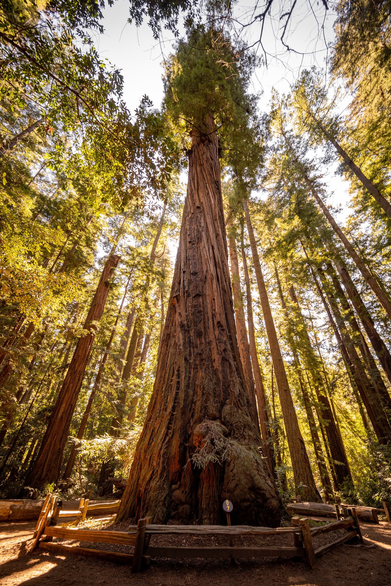 Felton & the Redwood Mountains