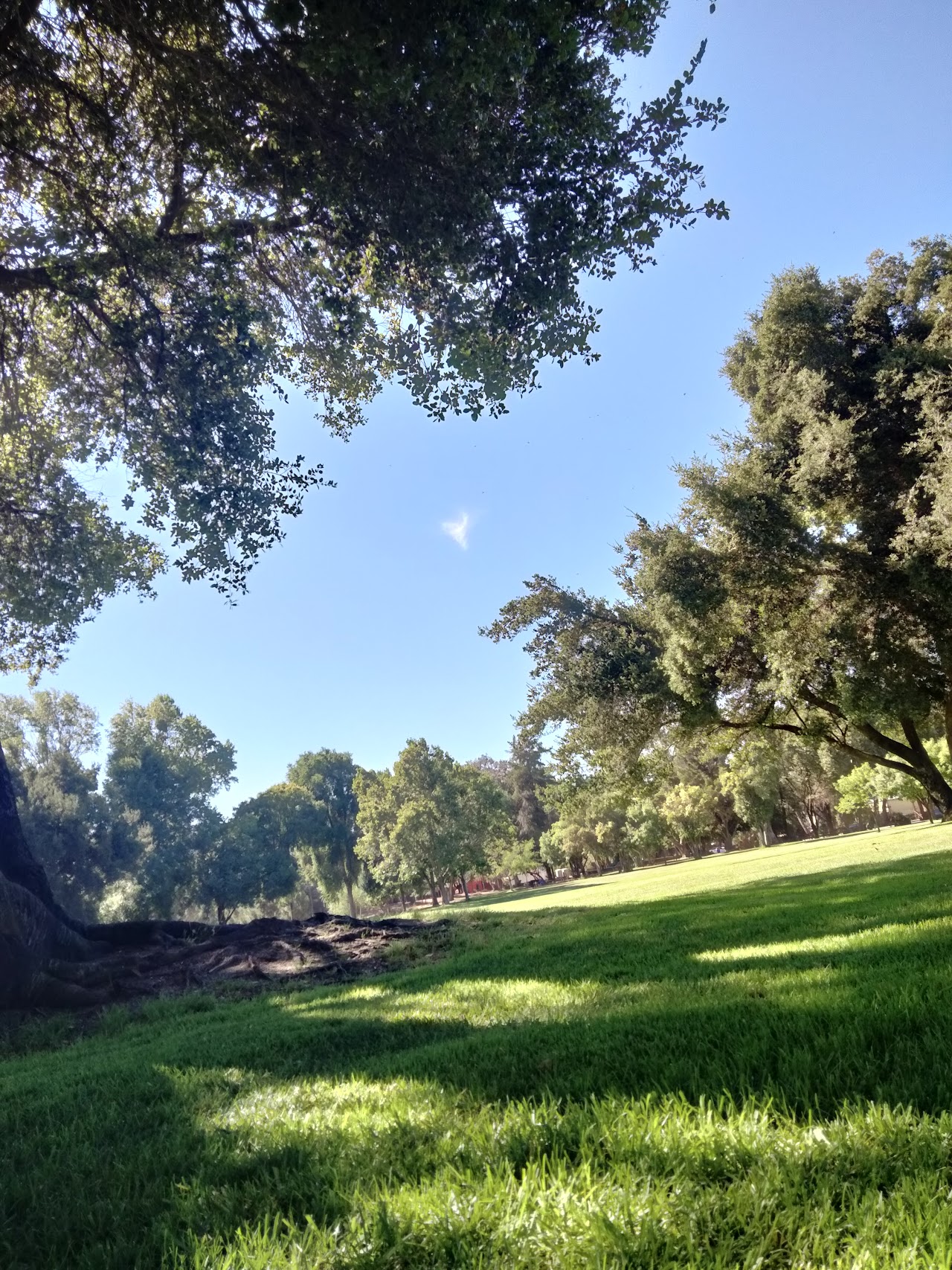 King City & South County Wine